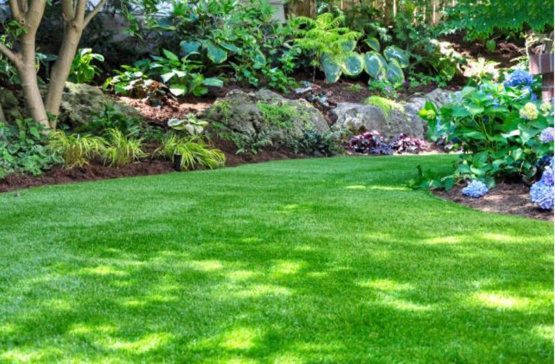 Landscape Design