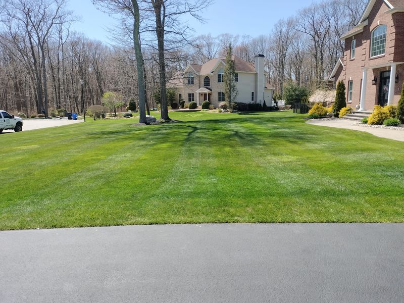 Lawn Aeration