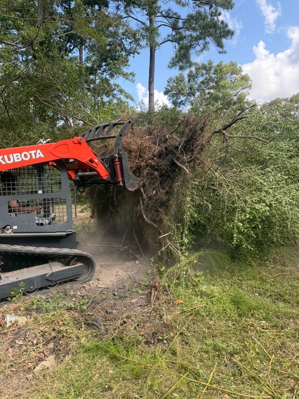 Forestry Mulching