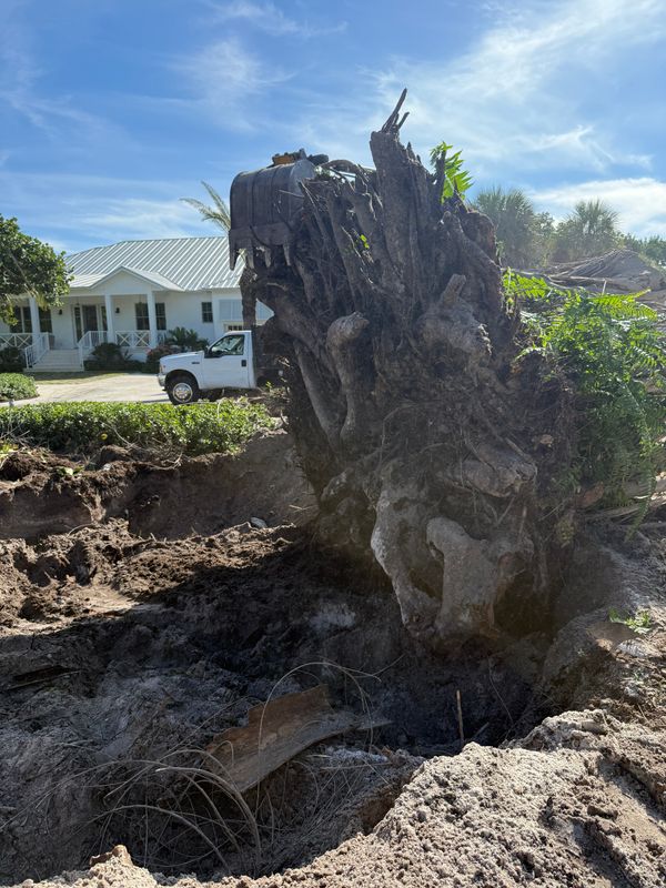 Stump Grinding