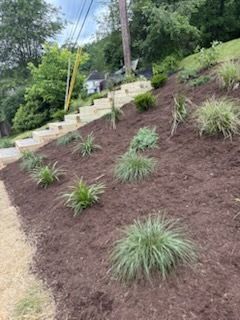 Landscape Design and Build