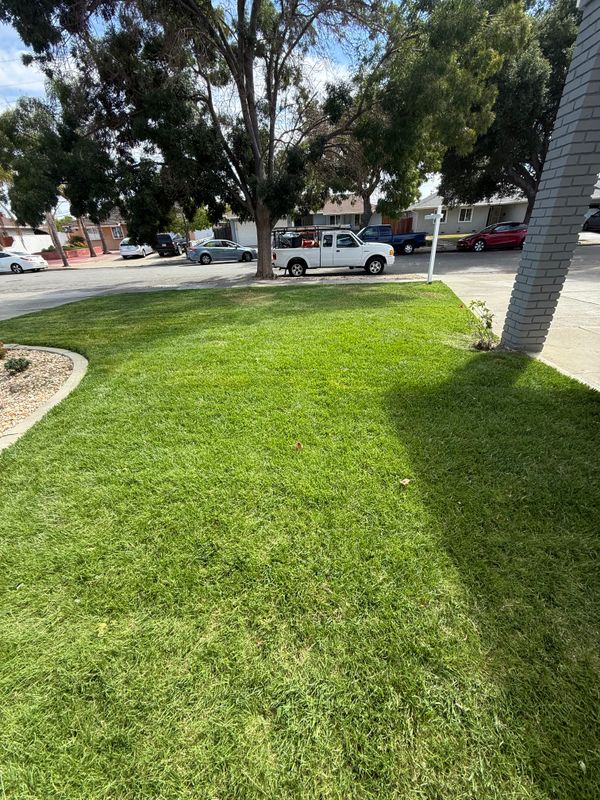 Landscaping