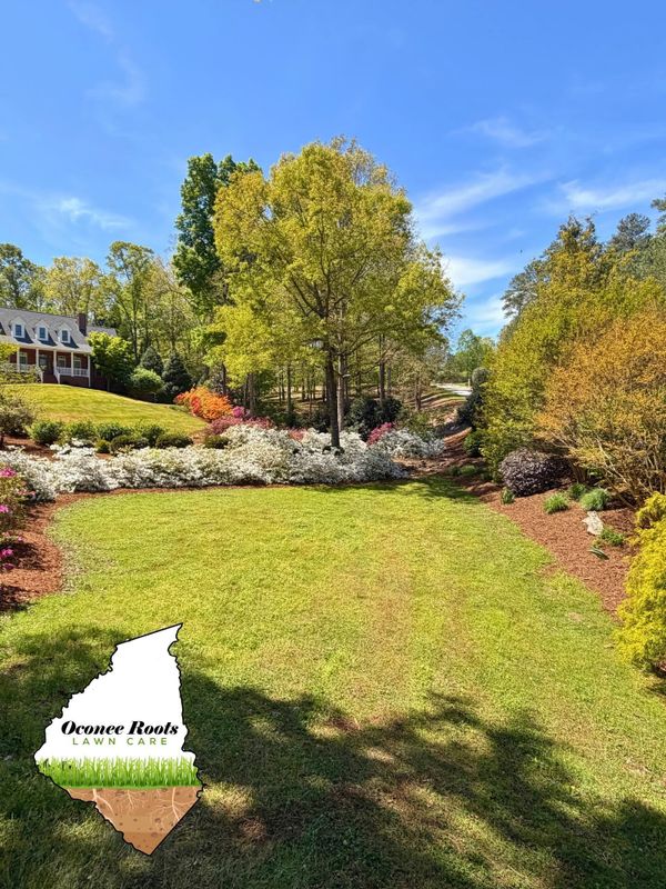 Landscape Design & Installation