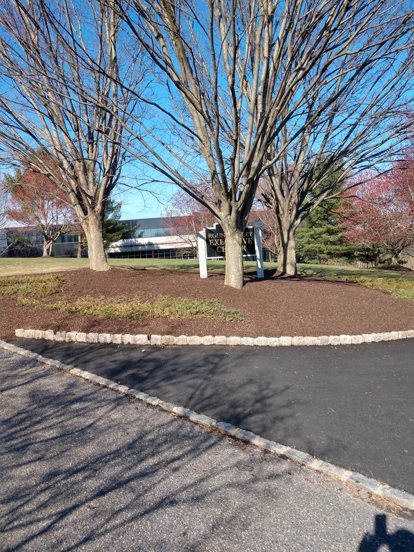 Privacy Plantings