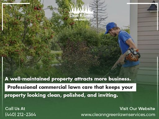 Weekly Lawncare