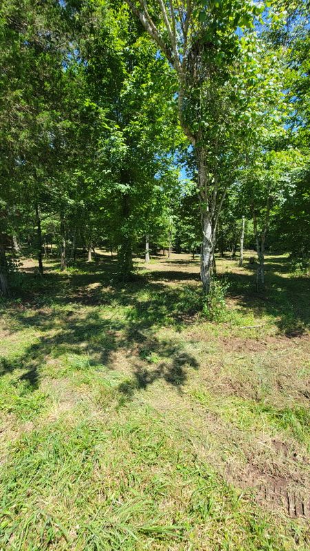 Land Clearing