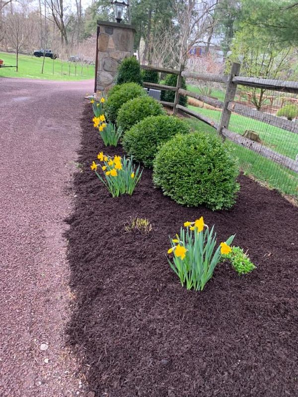 Landscaping