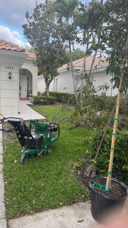 Transforming South Florida Gardens: A Landscaping Marvel