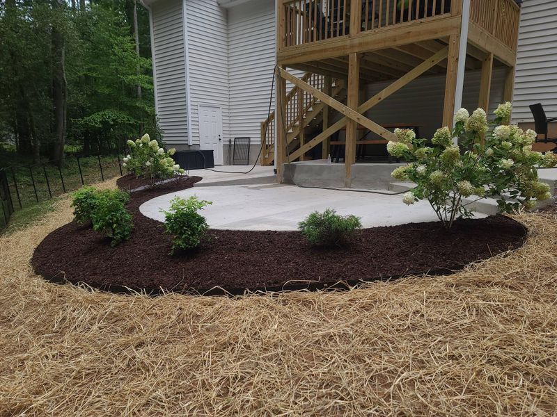 Landscape Design