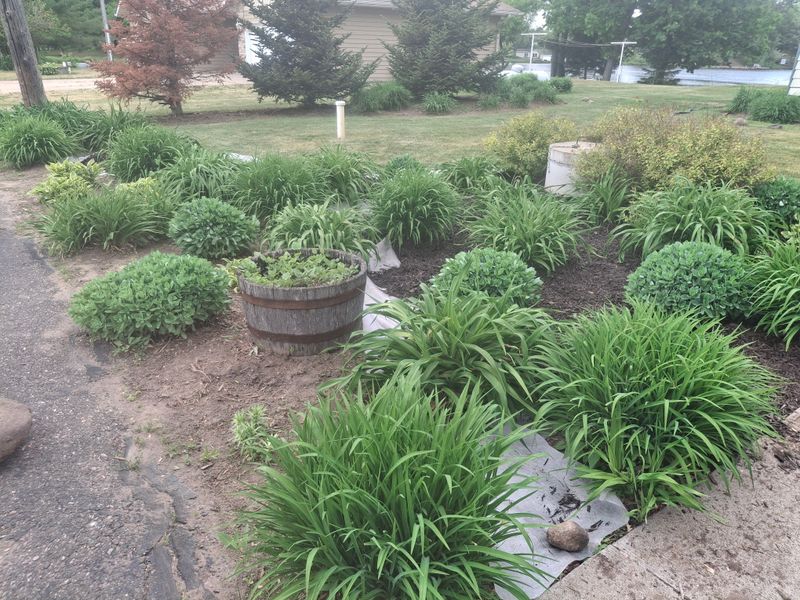 Landscape Design