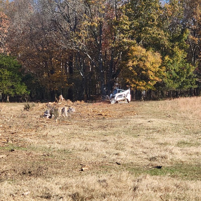 Land Clearing