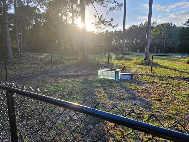 Chainlink Fences