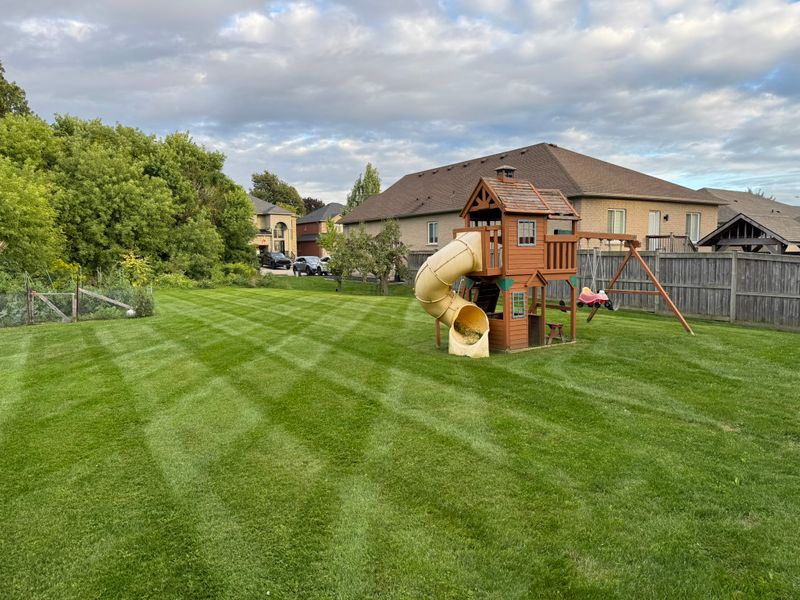 Lawn Mowing