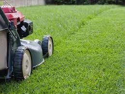 Lawn Maintenance