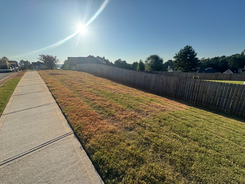 Hydroseeding gallery