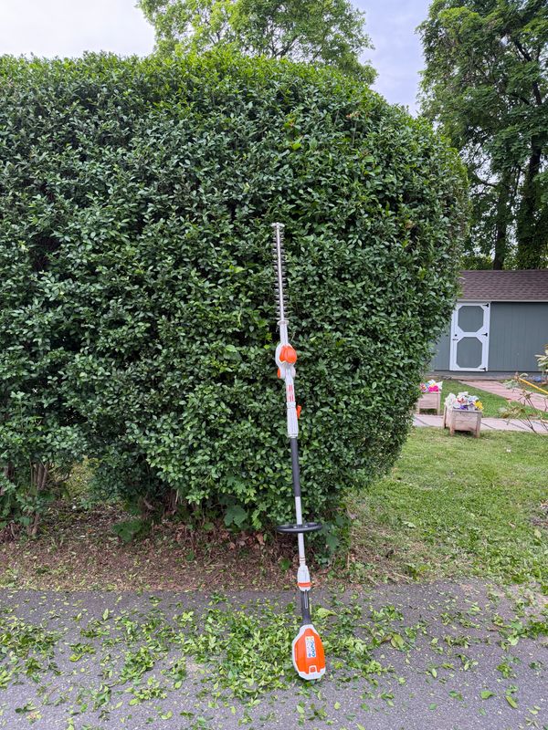 Hedge Trimming & Topiary