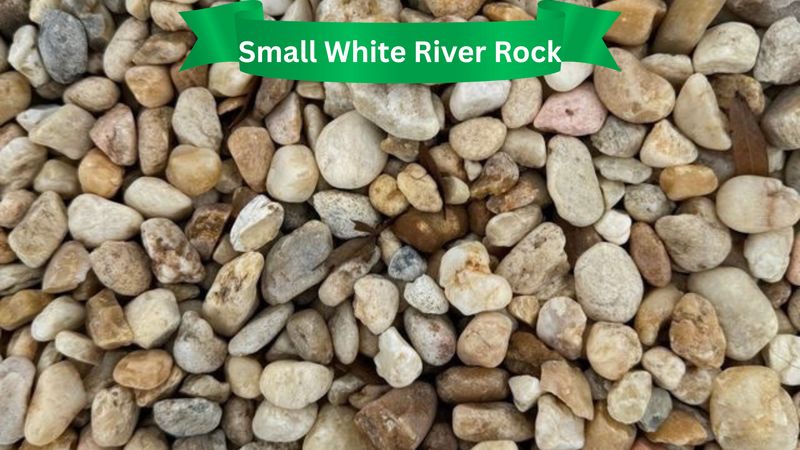 Rocks