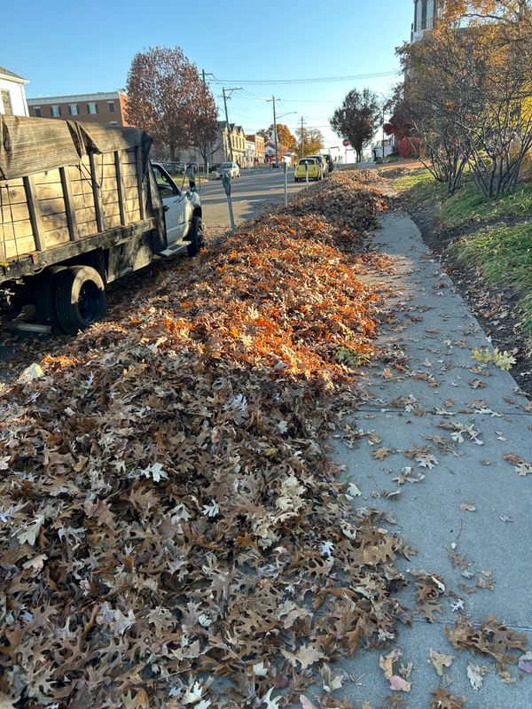 Fall Cleanups and Leaf Removal