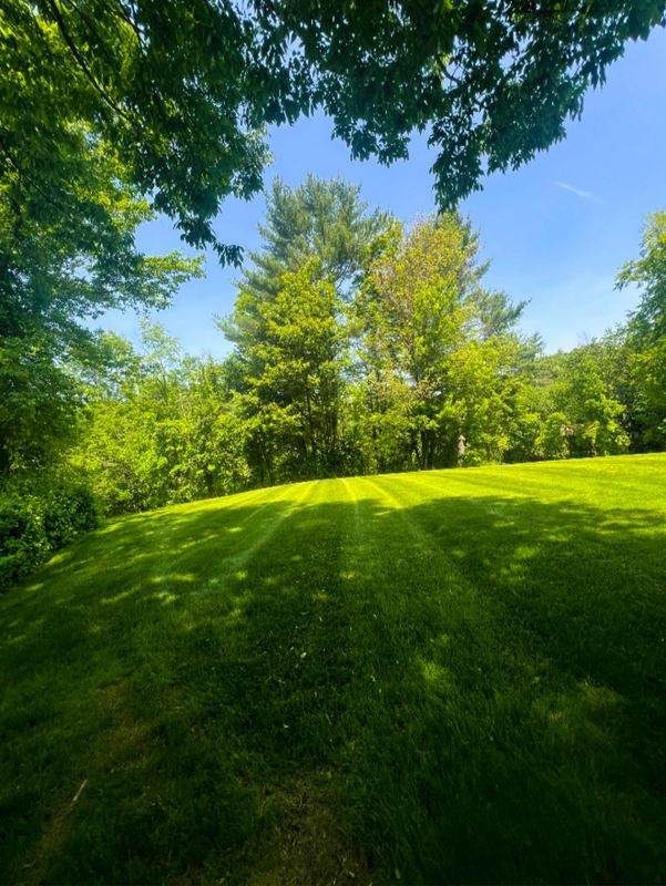 Mowing