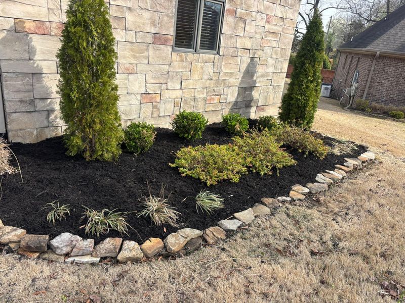 Landscape And Design