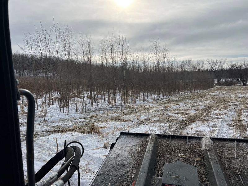 Brush Mowing