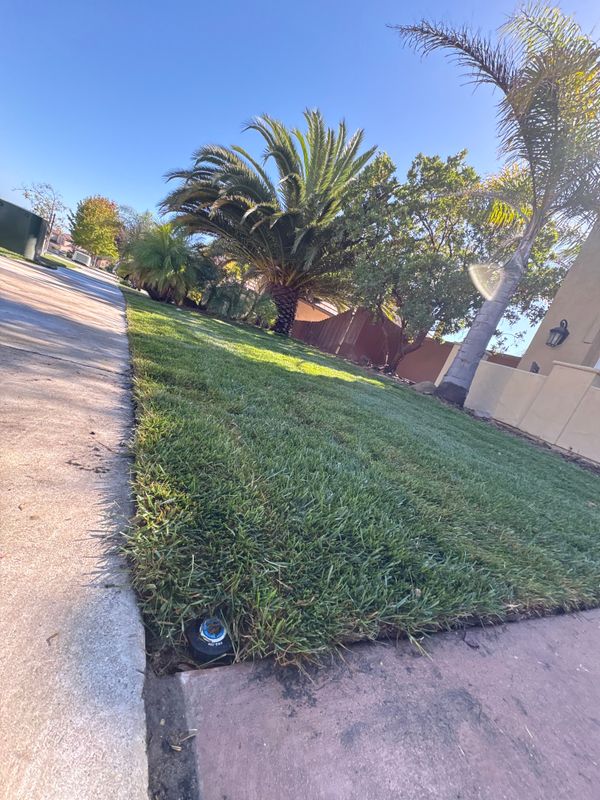 Landscaping