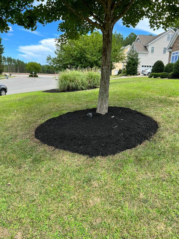 Landscaping