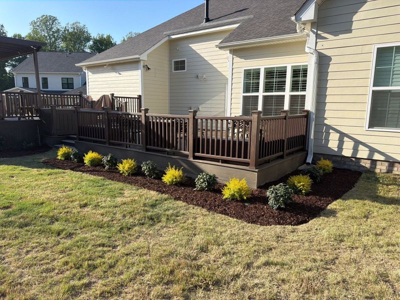 Plant & Shrub Installations