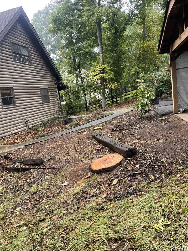 Tree Services