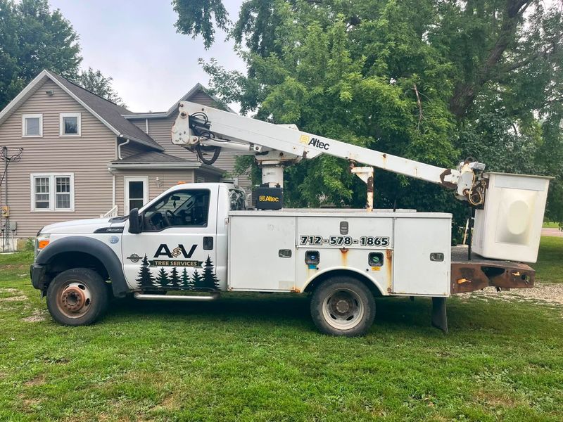 Tree Removal