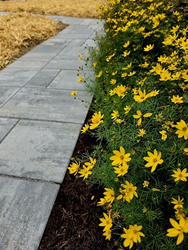 Paver Patios