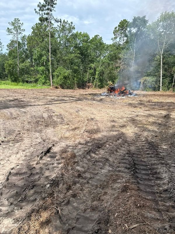 Land Clearing