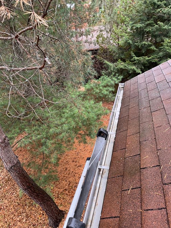 Restoring Roofs with Professional Roof Cleaning Services