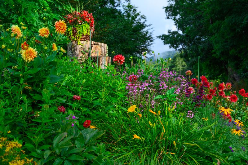 Perennial Gardens gallery