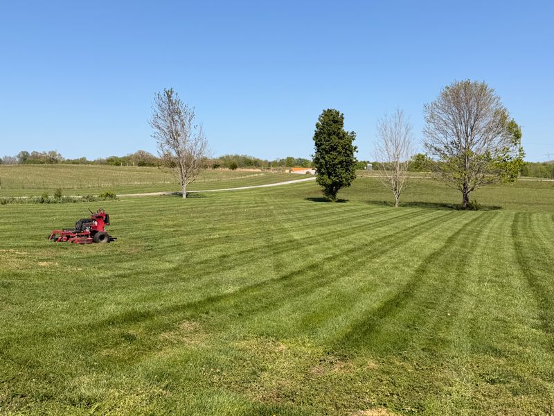 Landscape Design