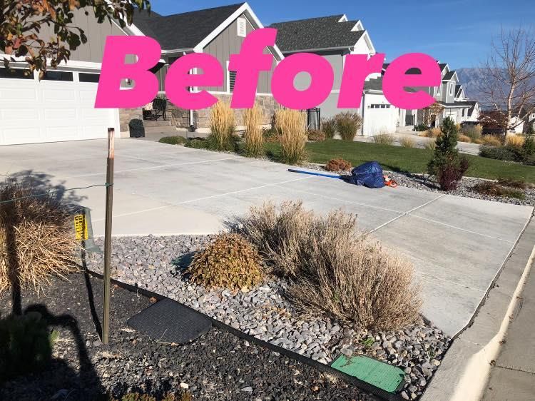 Shrub Trimming