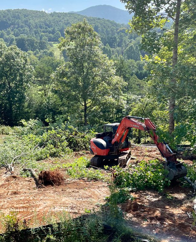 Land Clearing