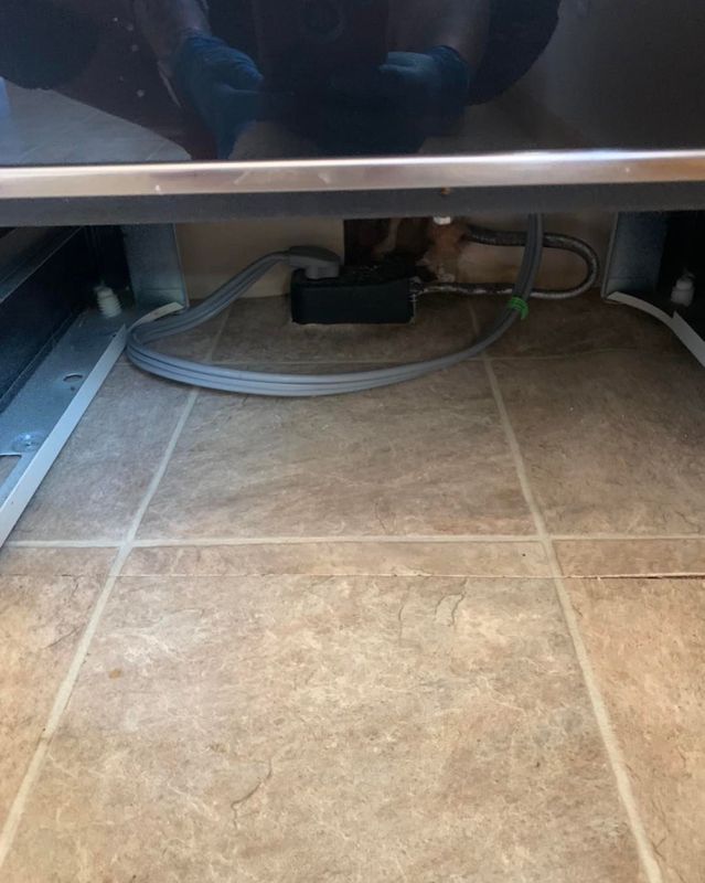 Deep Cleaning