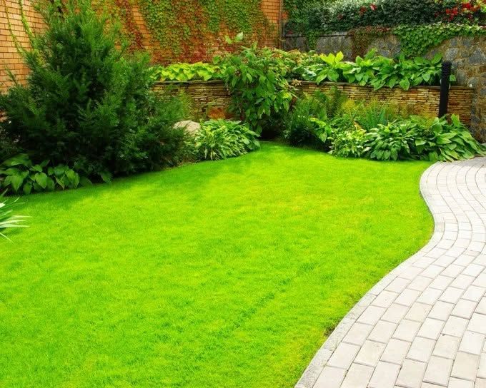 Hardscaping Services