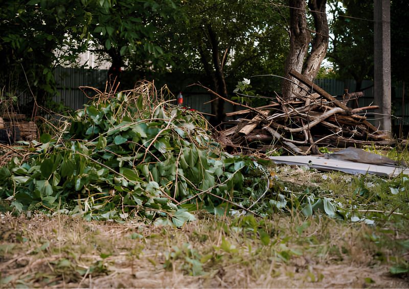 Debris Disposal