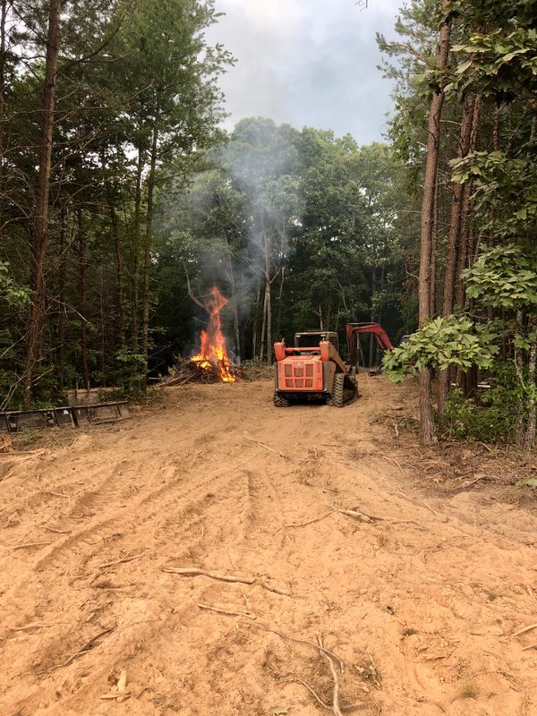 Clearing