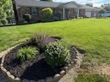 Landscape Design