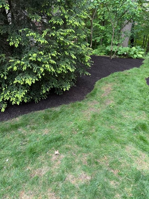 Garden Designs
