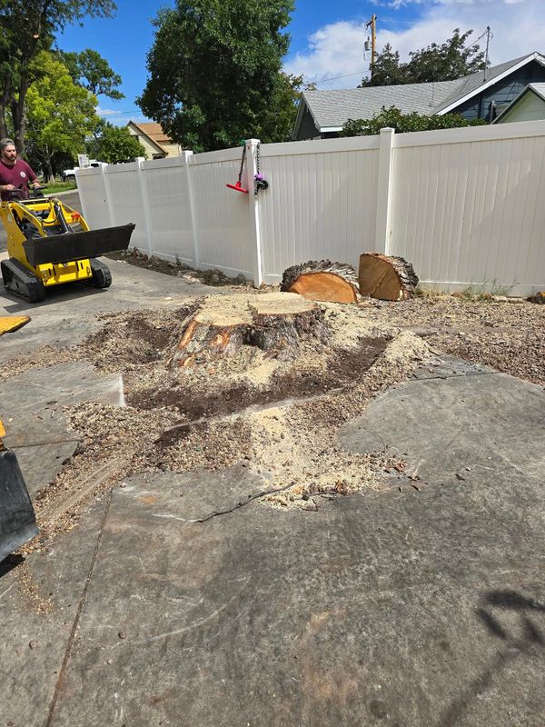 Tree Removal gallery