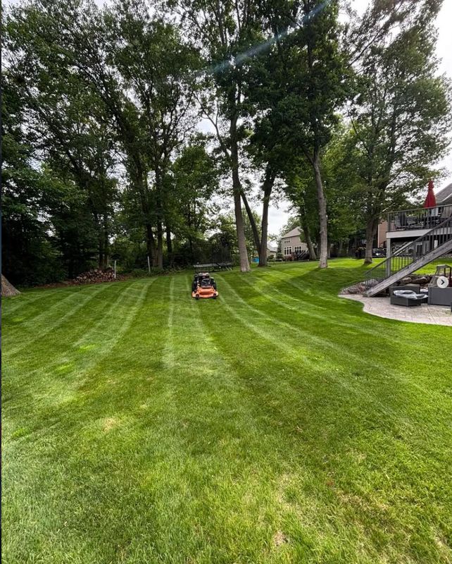 Lawn Maintenance