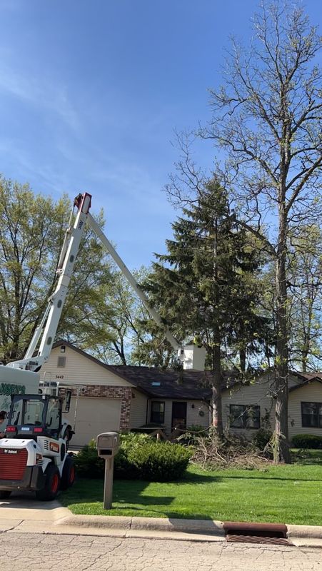 Tree jobs