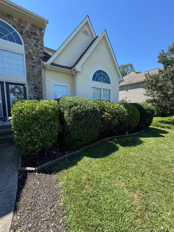 Landscaping 