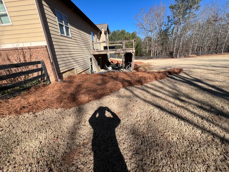 Pine straw installation