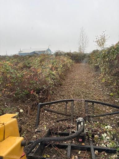 Land Clearing & Demolition