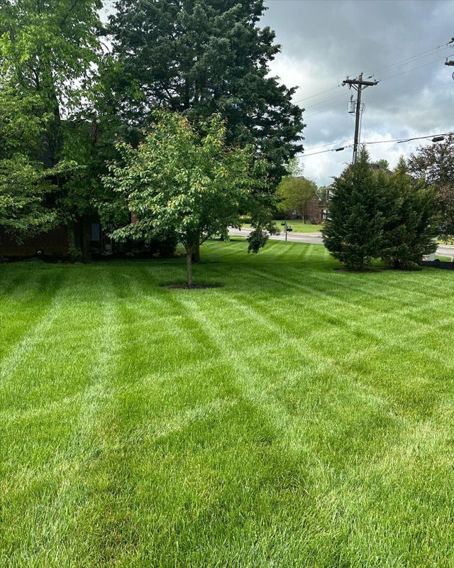 Mowing